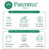 Organic Cotton - Underwear Set 3 Pcs
